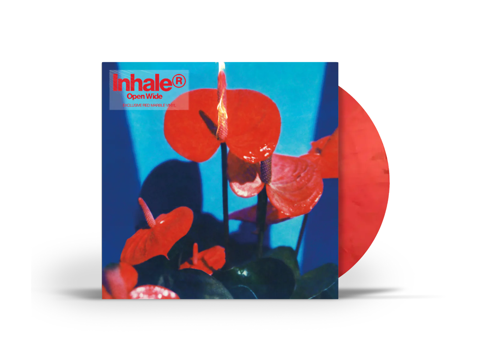 INHALER　OPEN WIDE　限定カラーレコード Open Wide Store Exclusive Vinyl - UMUSIC Shop Canada