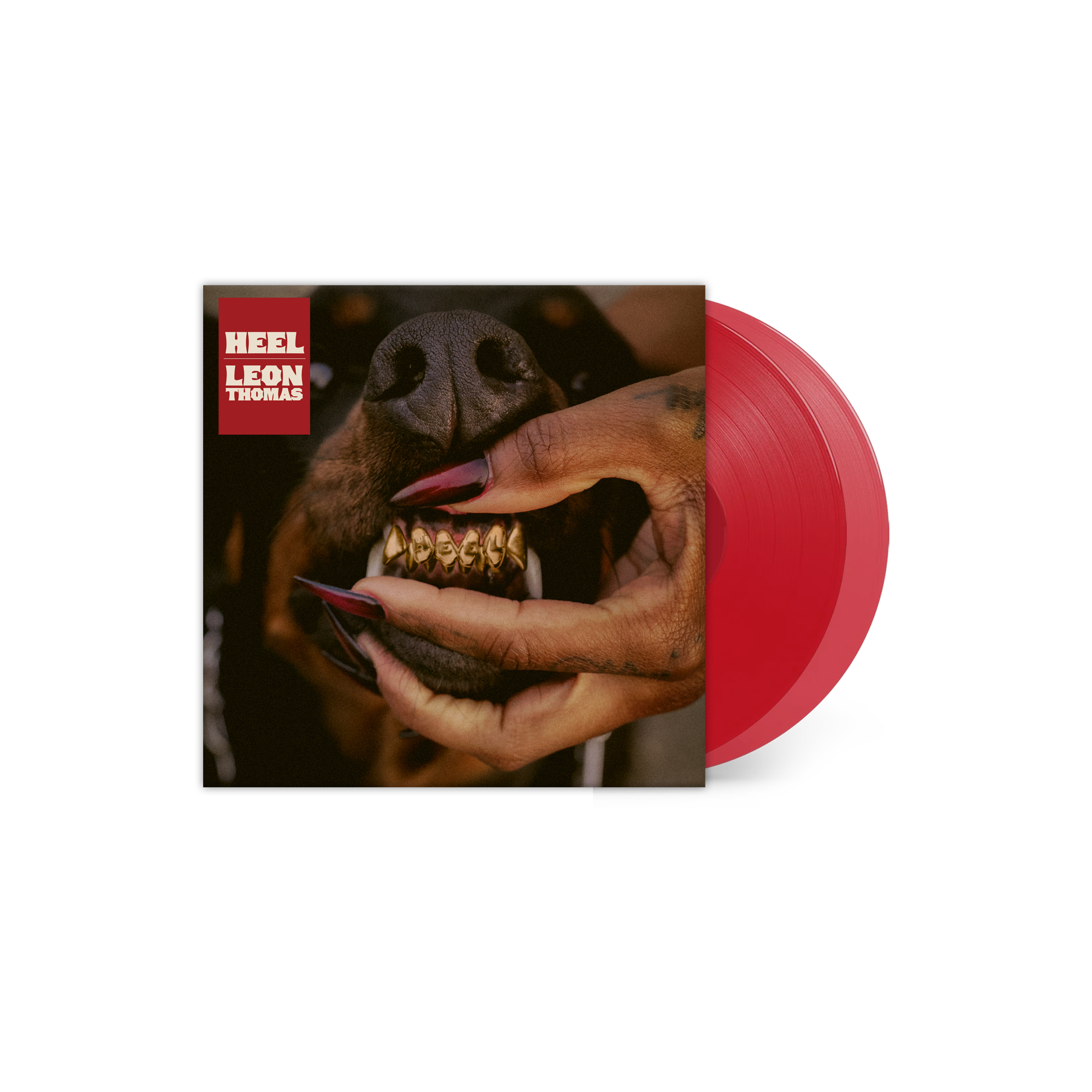 MUTT Deluxe: HEEL Standard Translucent Ruby Vinyl