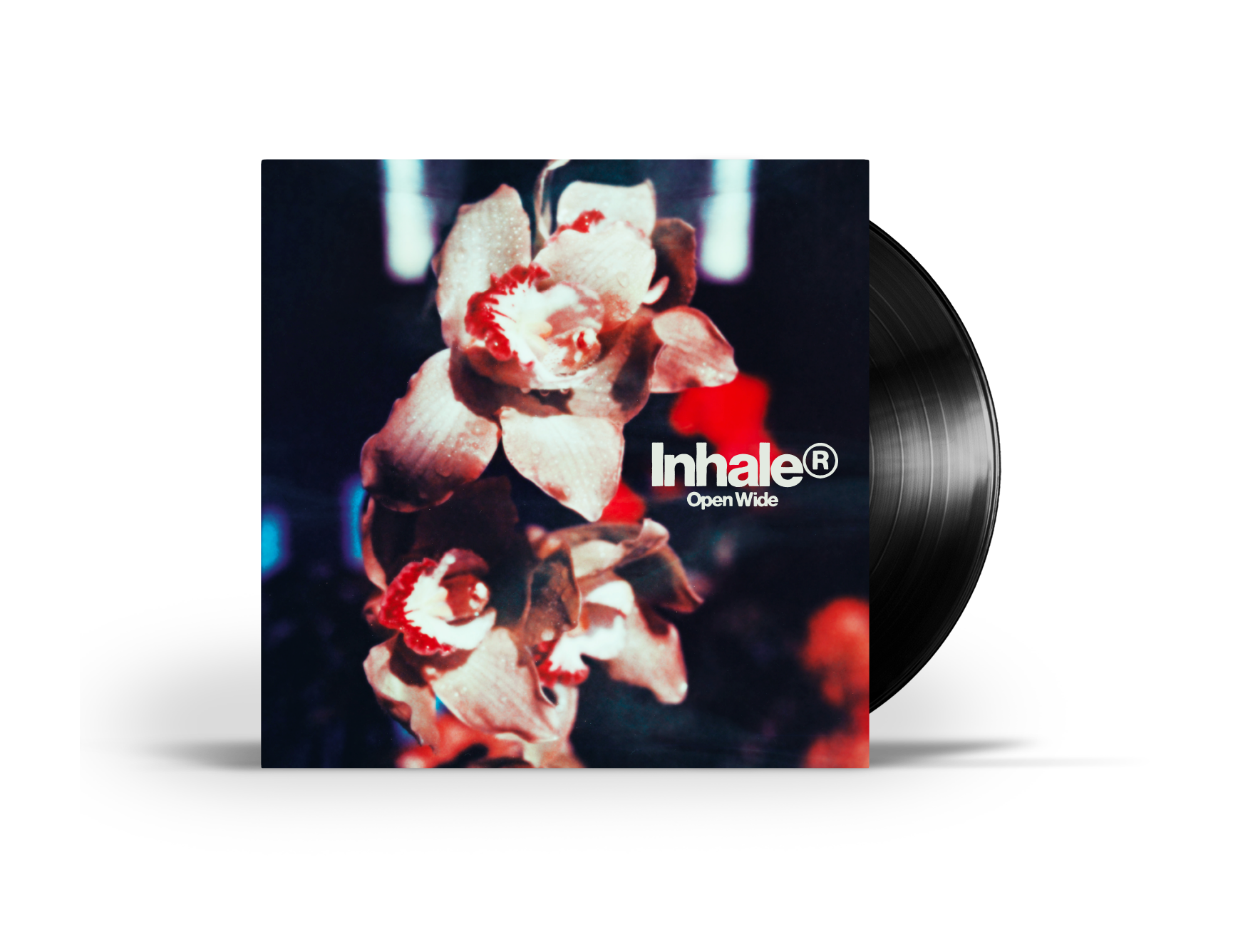 Open Wide Standard Vinyl - uMusic Shop Canada