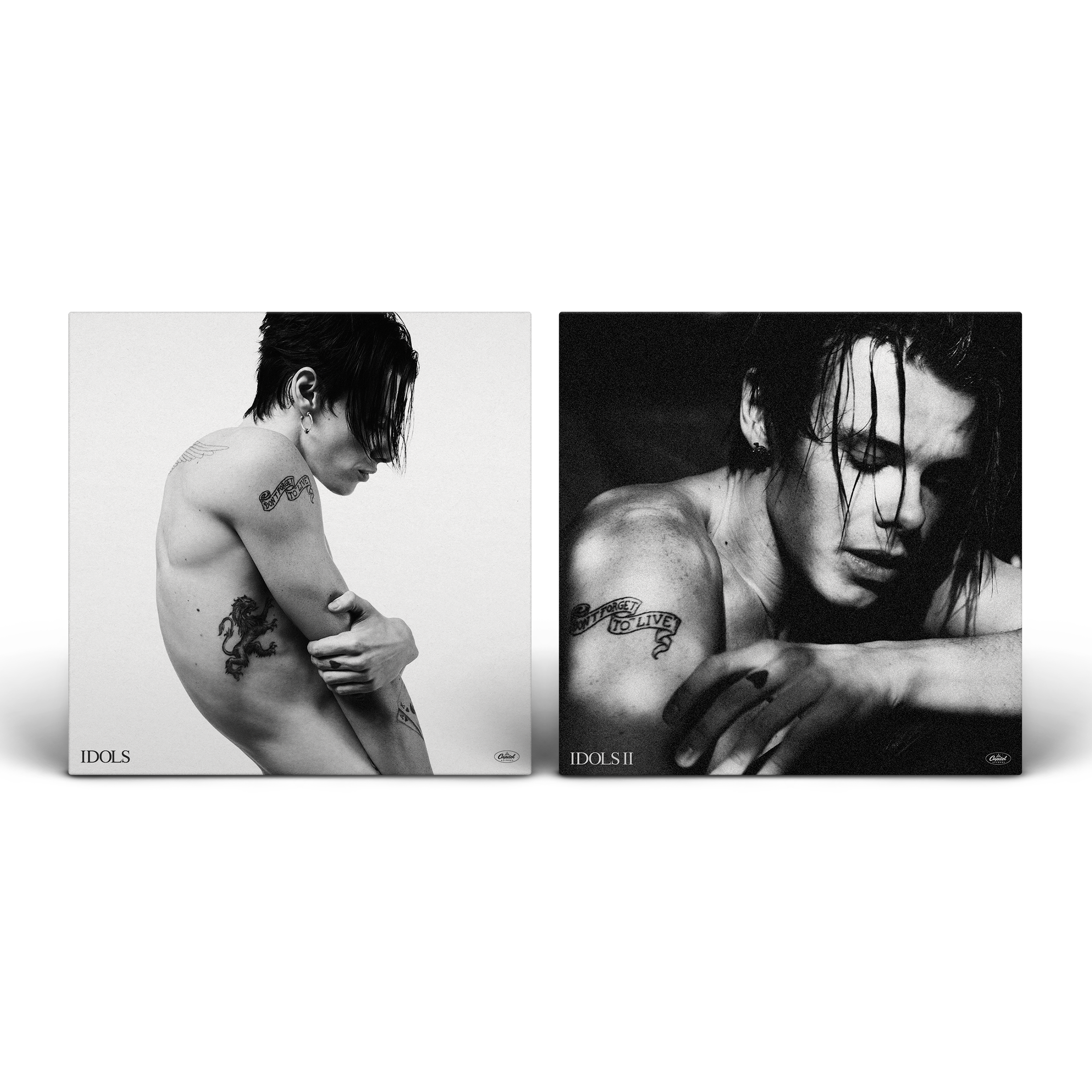 Idols (Complete) Vinyl