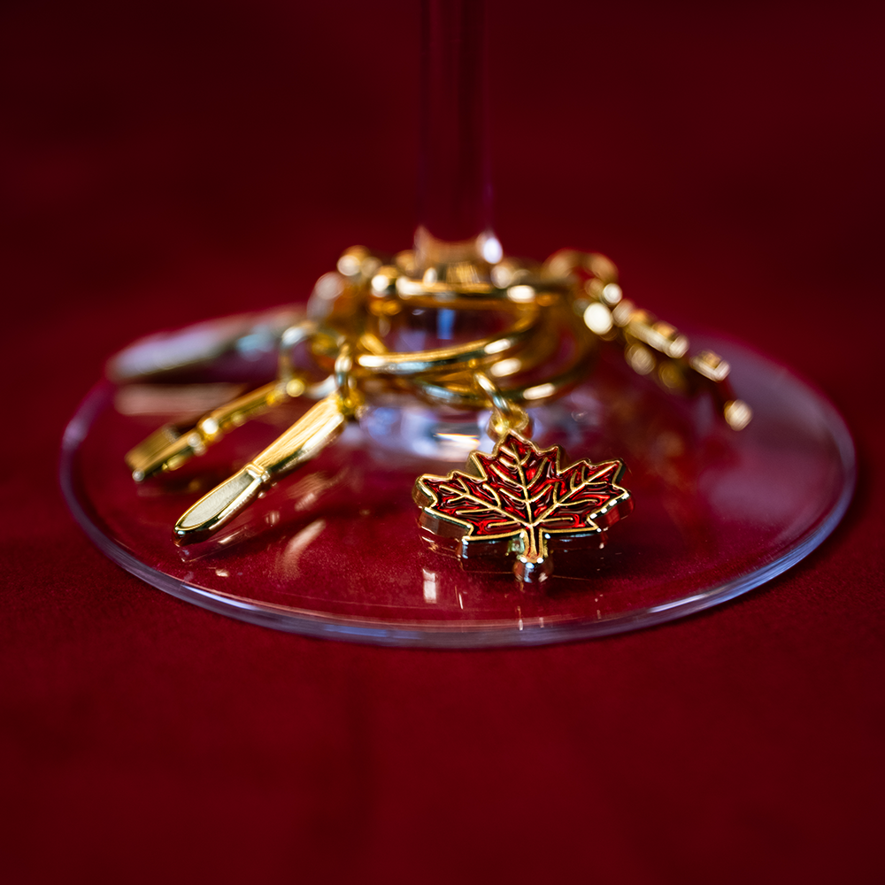 Dinner Party Wine Charms Set