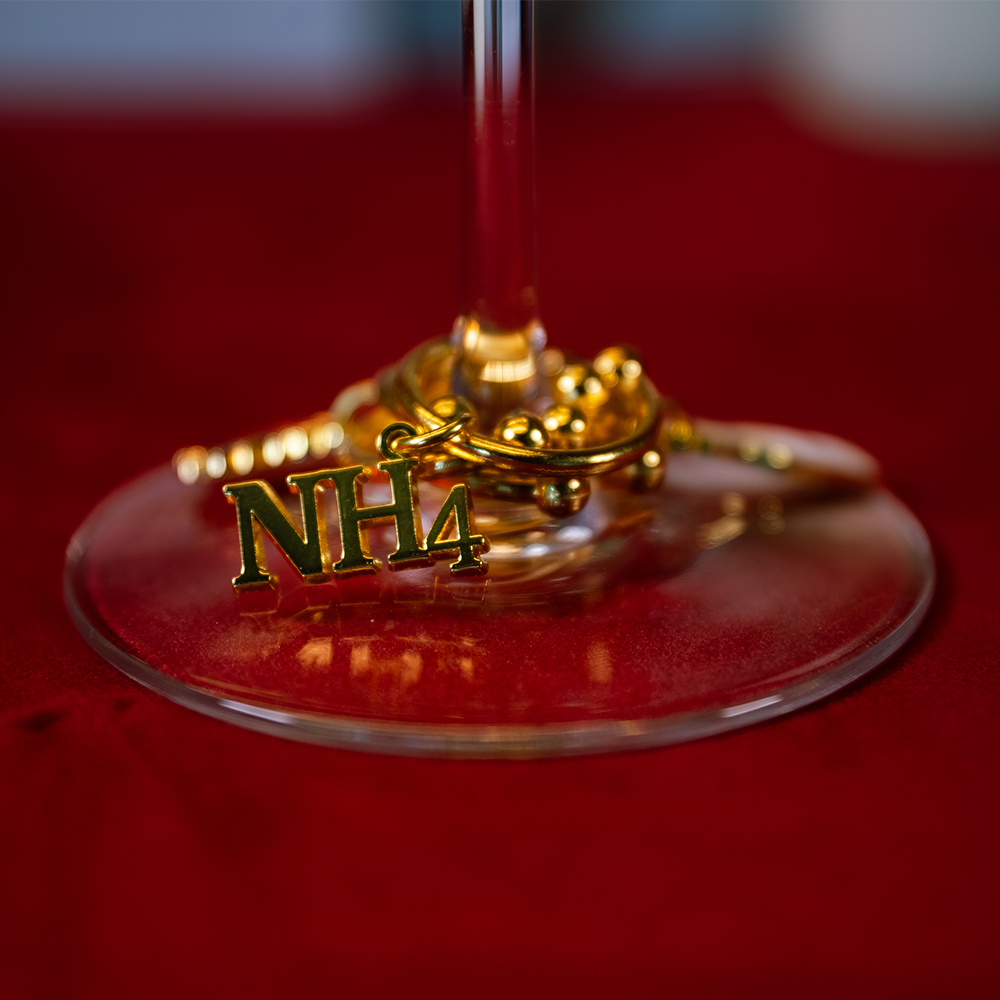 Dinner Party Wine Charms Set
