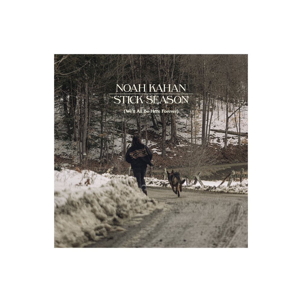 Stick Season (We'll All Be Here Forever) 2CD