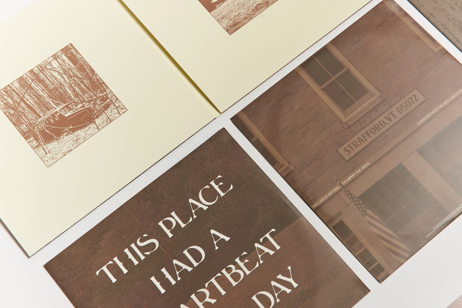 Stick Season (Nous serons tous là pour toujours) 3LP