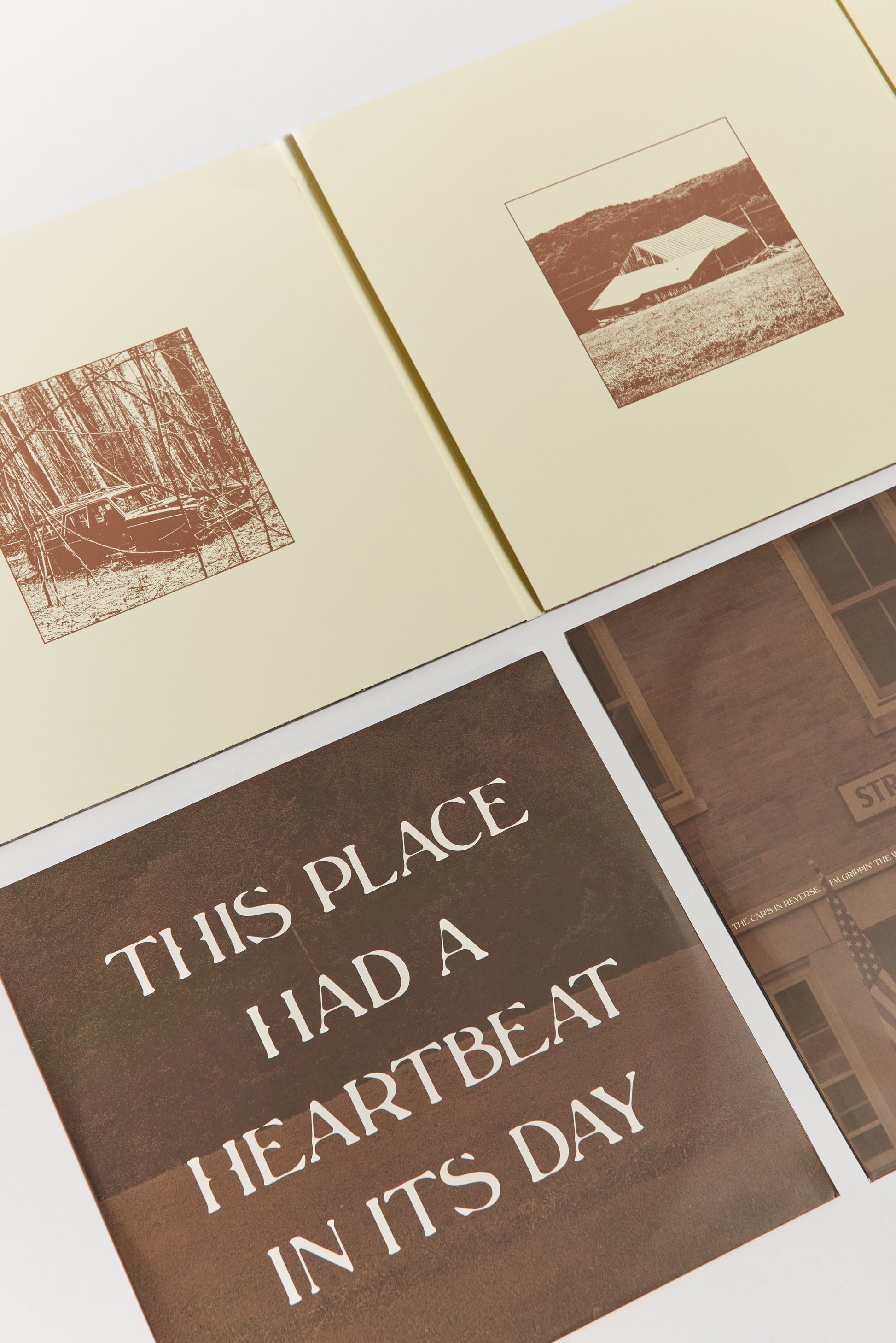 Stick Season (Nous serons tous là pour toujours) 3LP