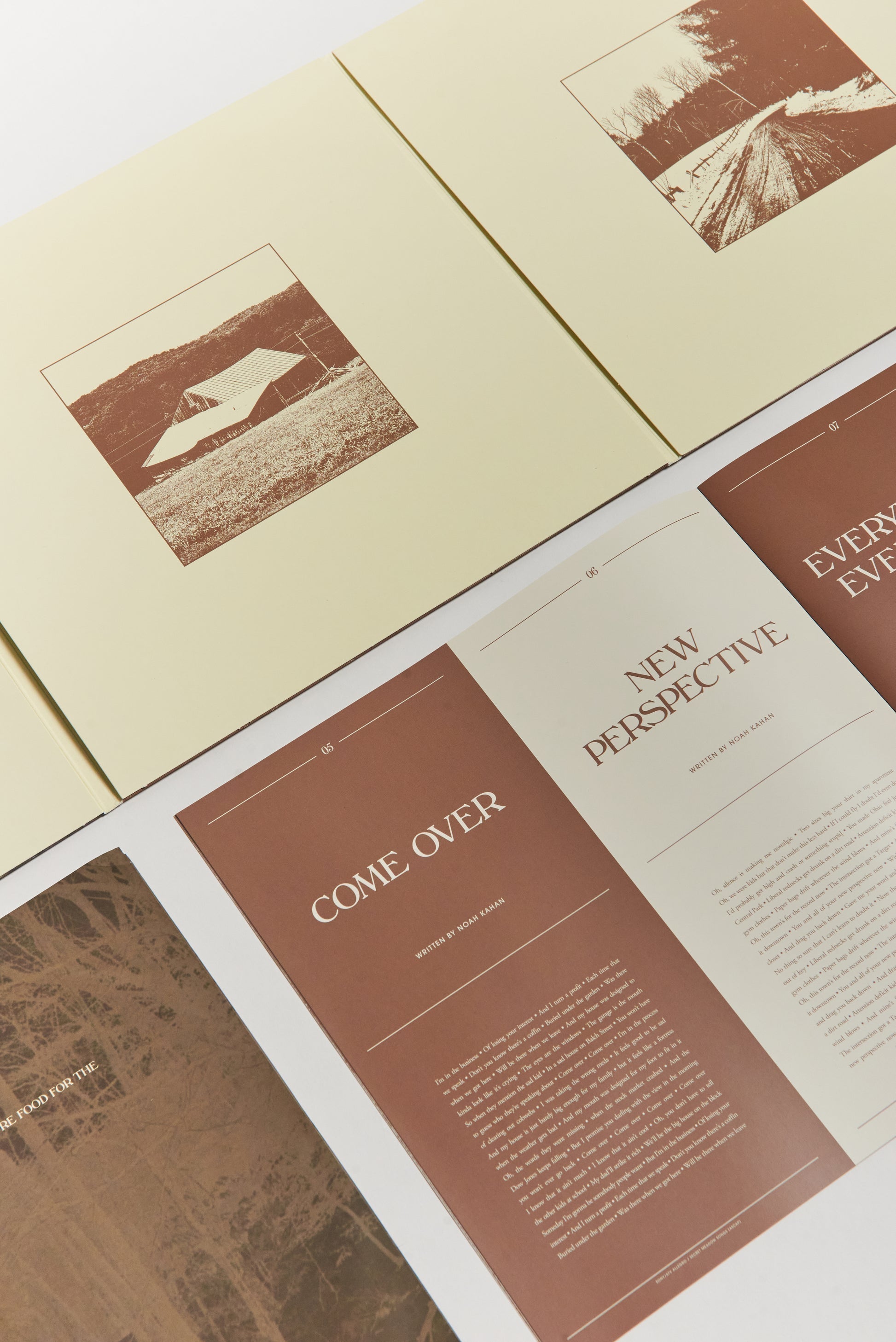 Stick Season (Nous serons tous là pour toujours) 3LP