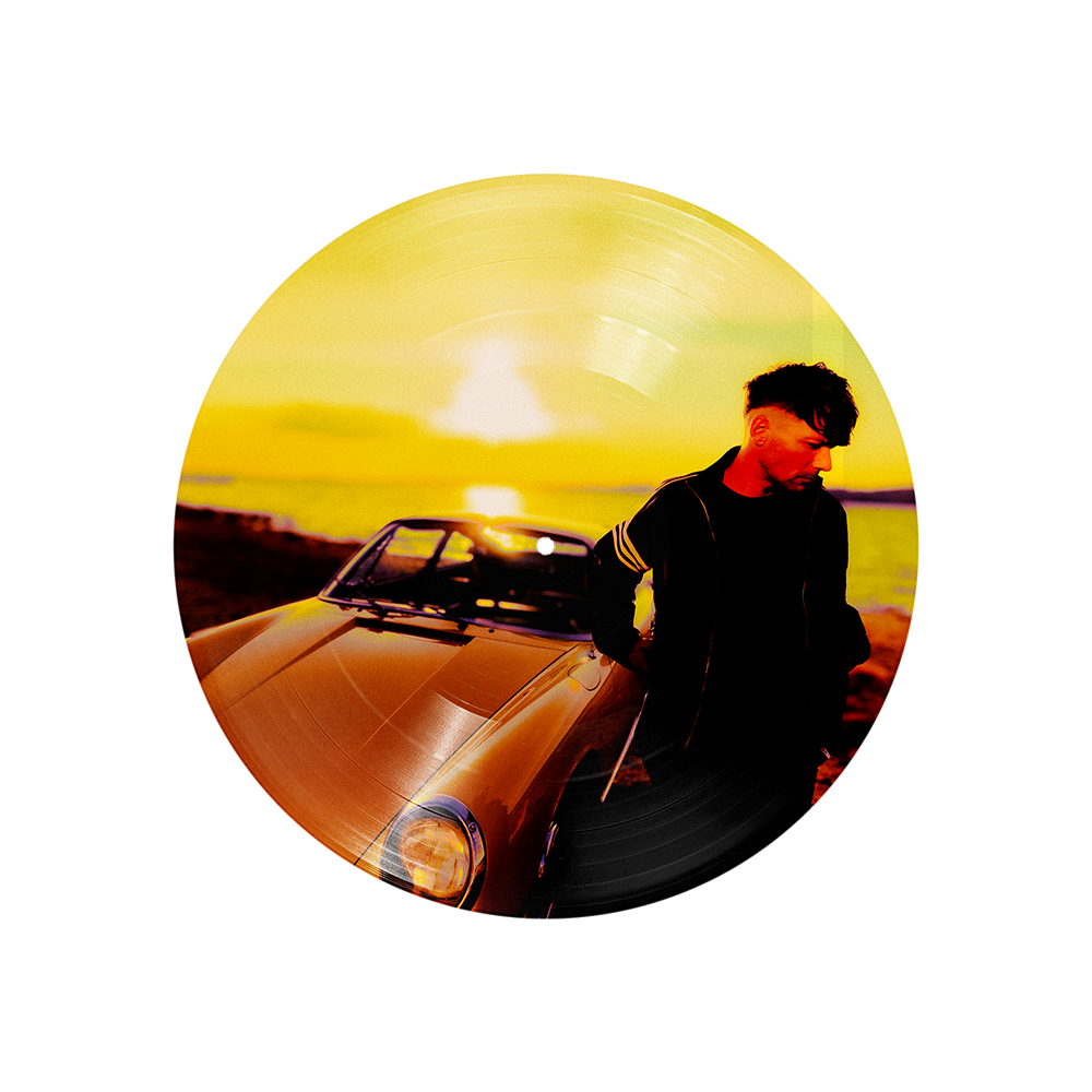 How Did I Get Here? Picture Disc