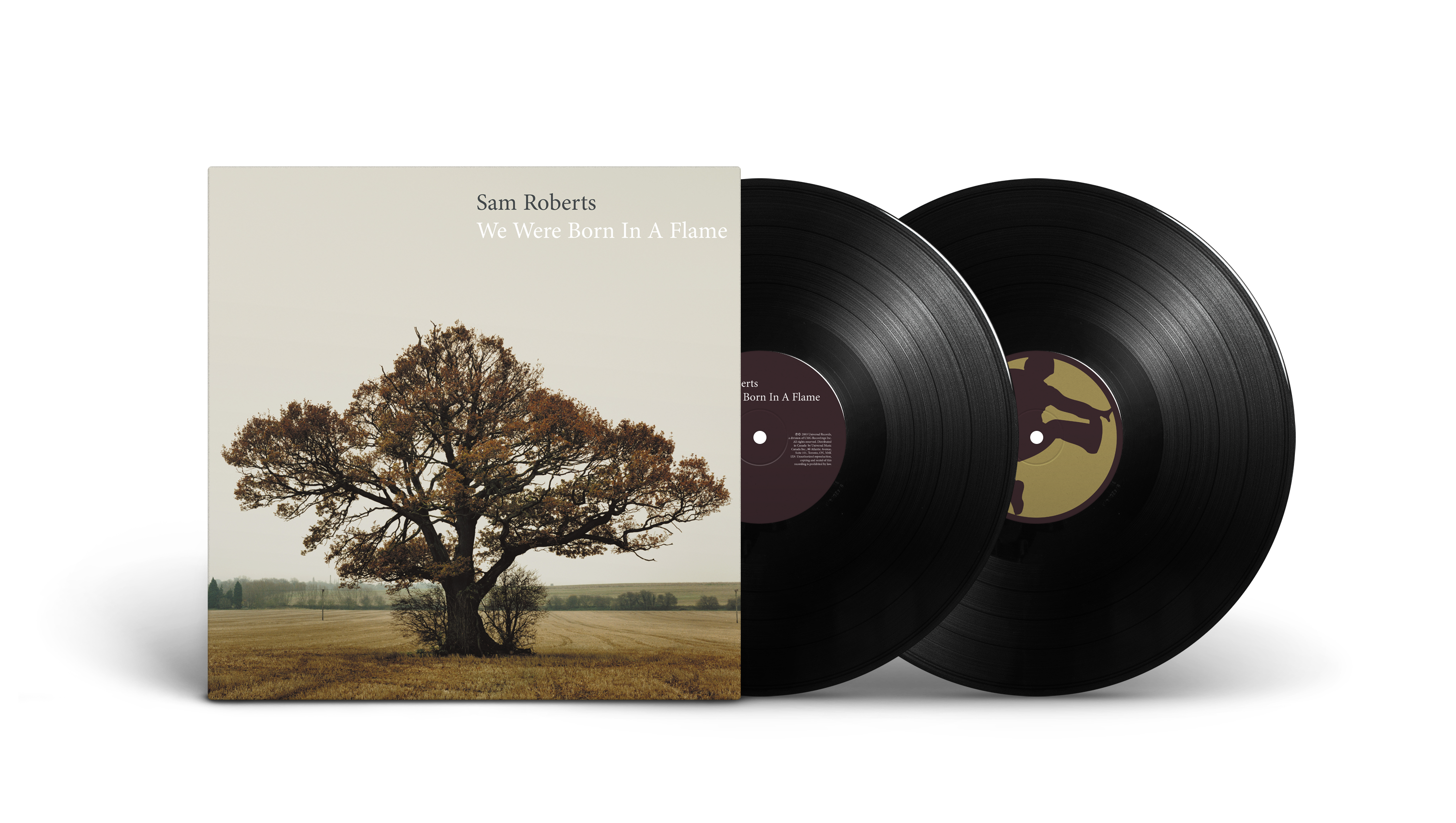 We Were Born In A Flame (2LP)