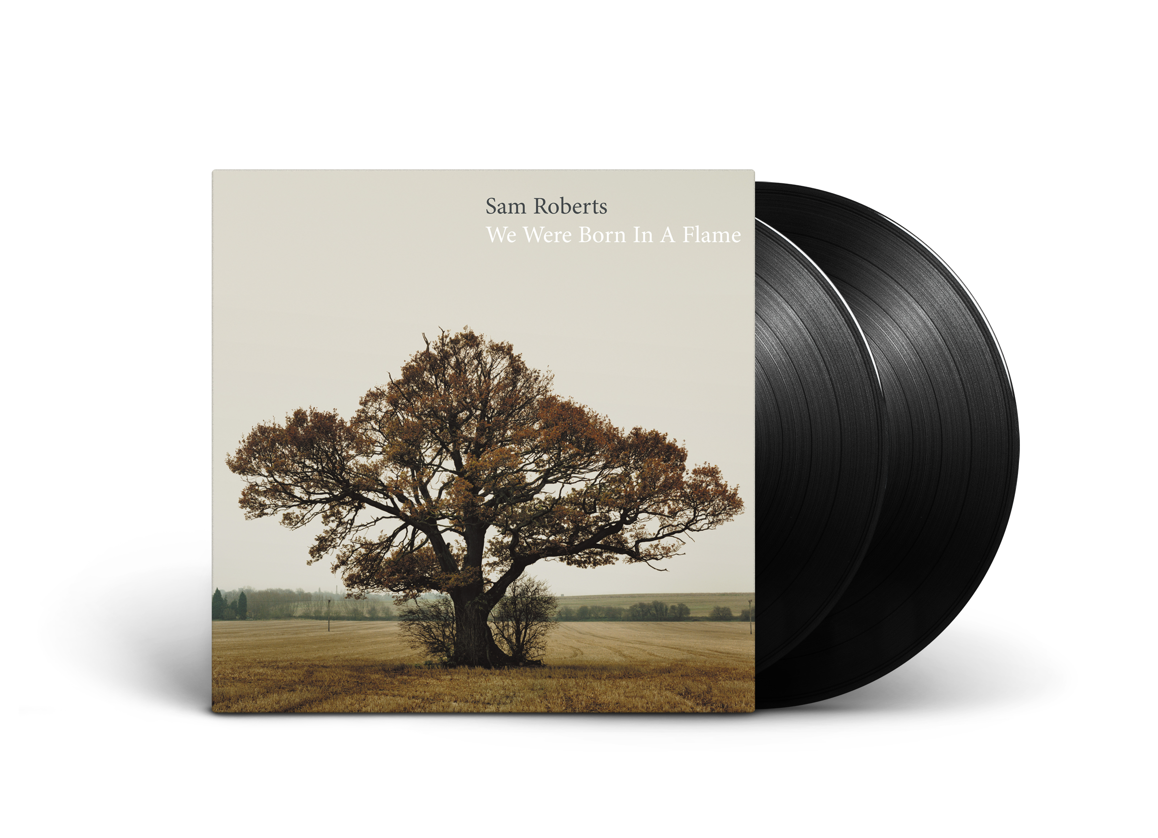 We Were Born In A Flame (2LP)