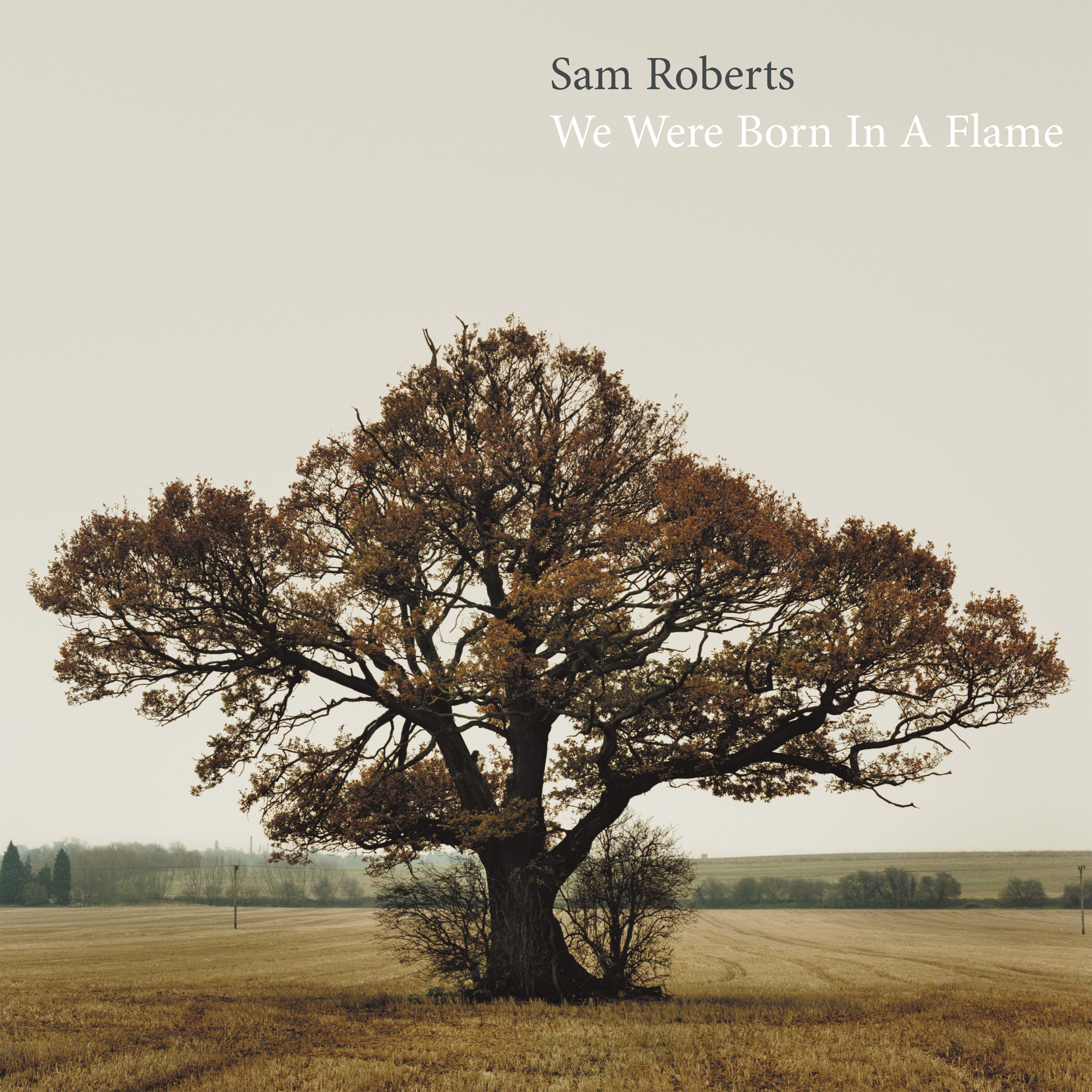 We Were Born In A Flame (2LP)