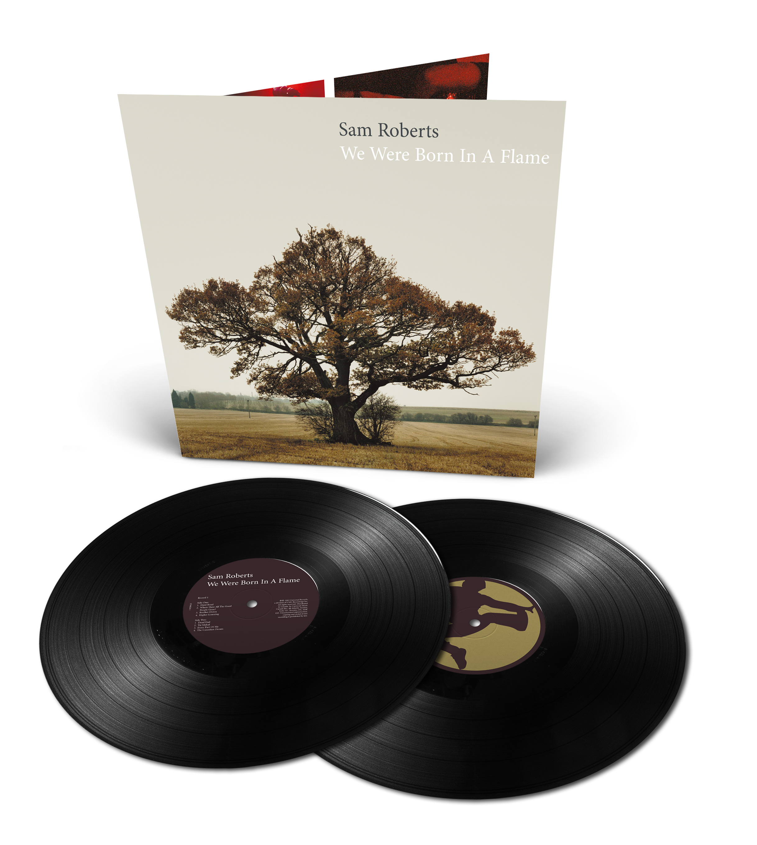 We Were Born In A Flame (2LP)