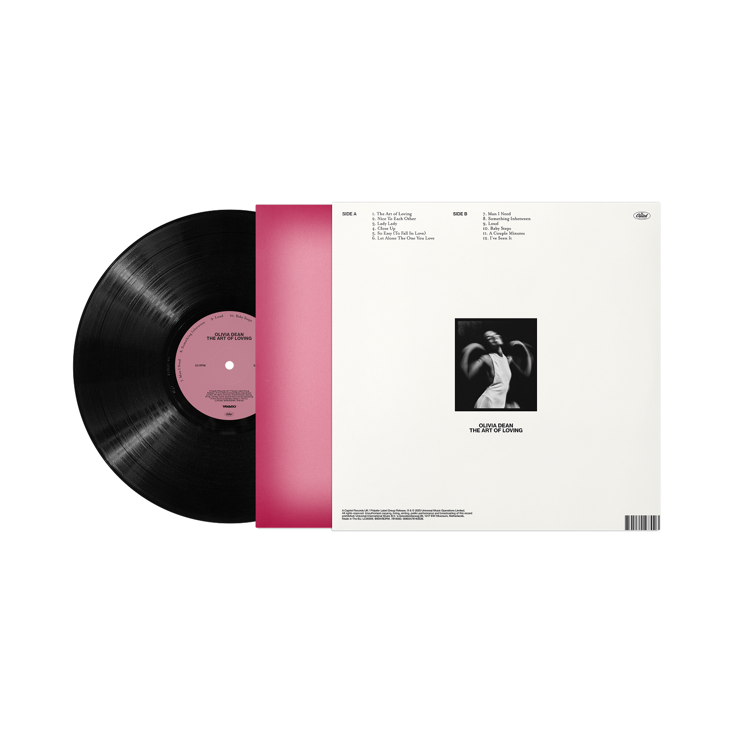 The Art of Loving Vinyl - uMusic Shop Canada The Art of Loving Vinyl - uMusic Shop Canada