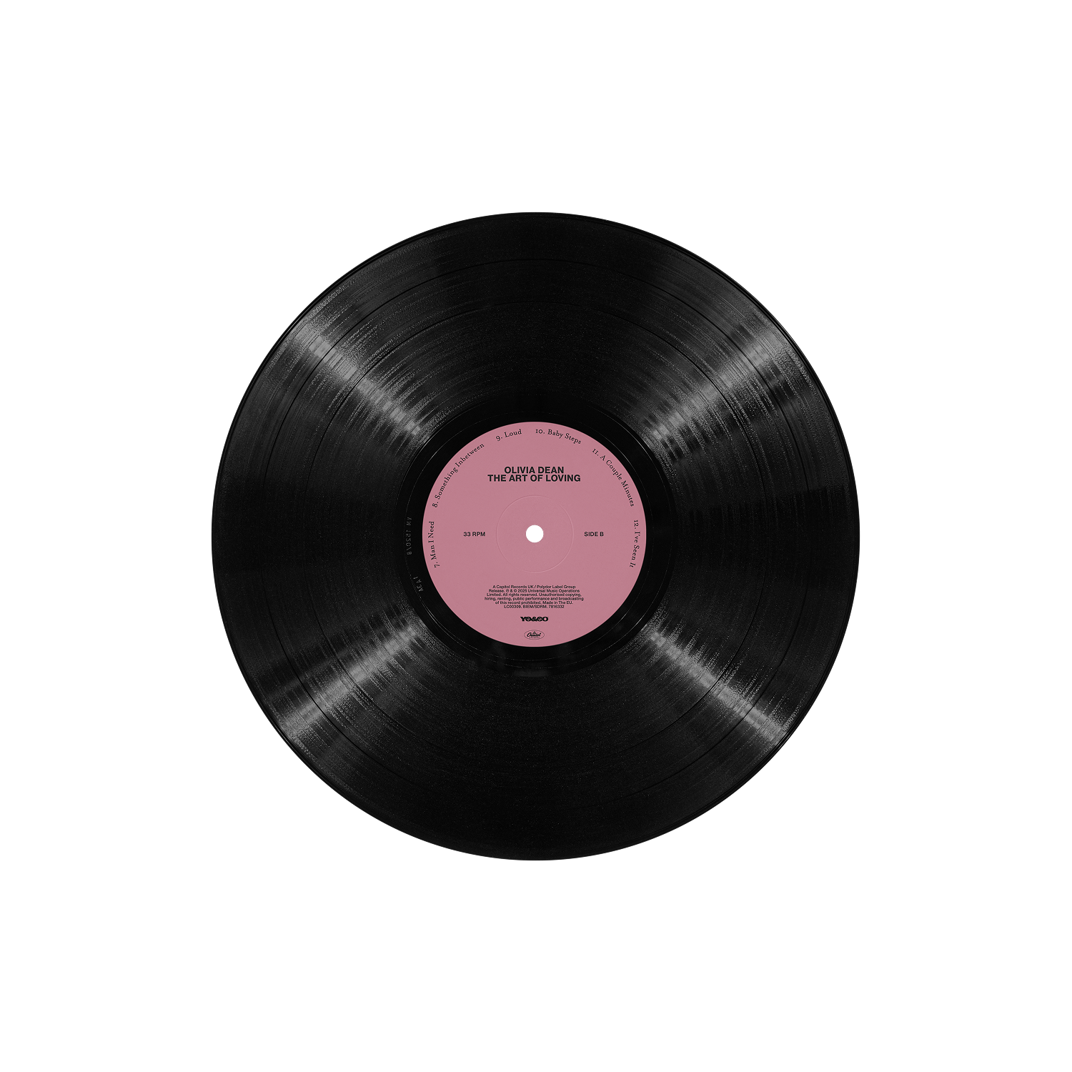 The Art of Loving Vinyl