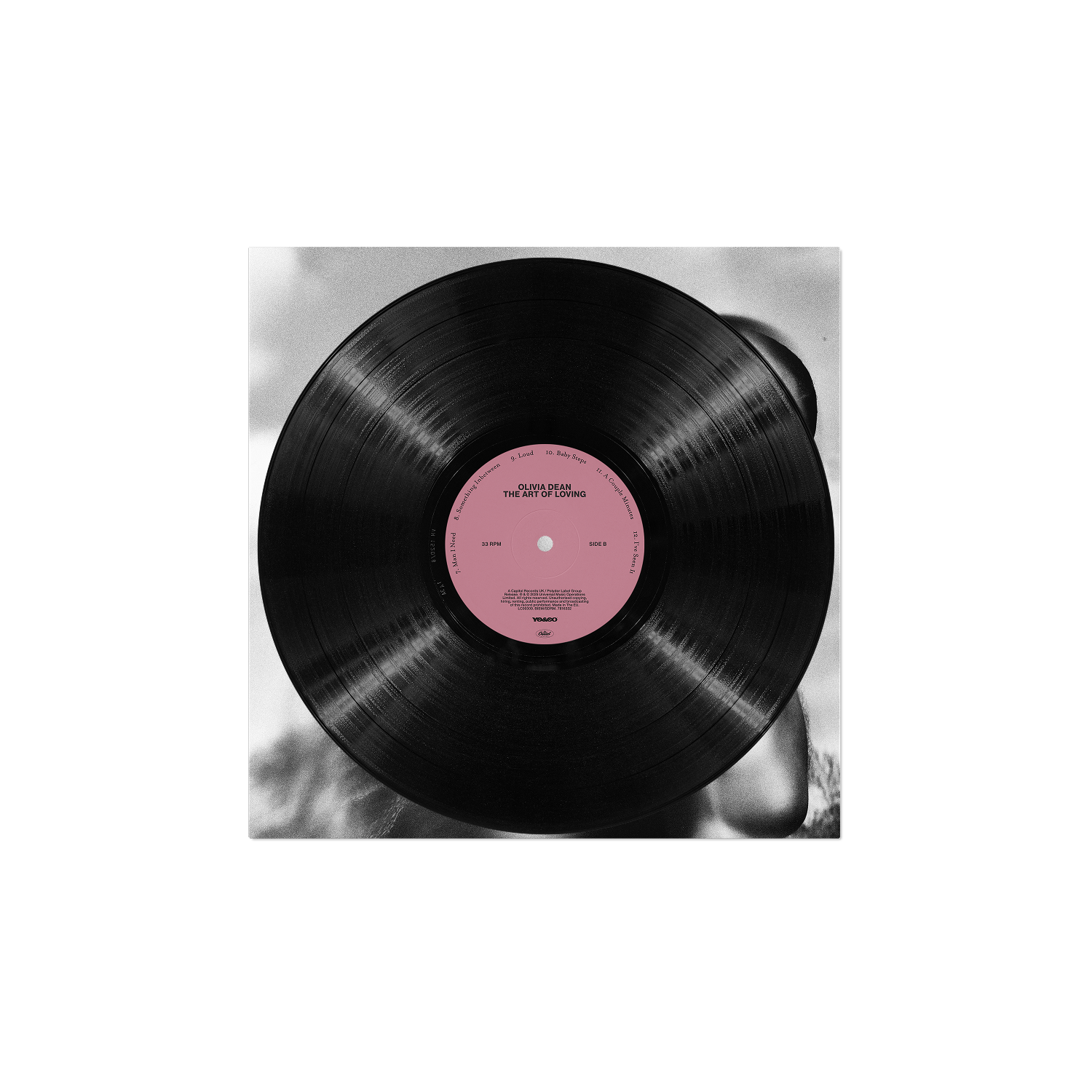 The Art of Loving Vinyl