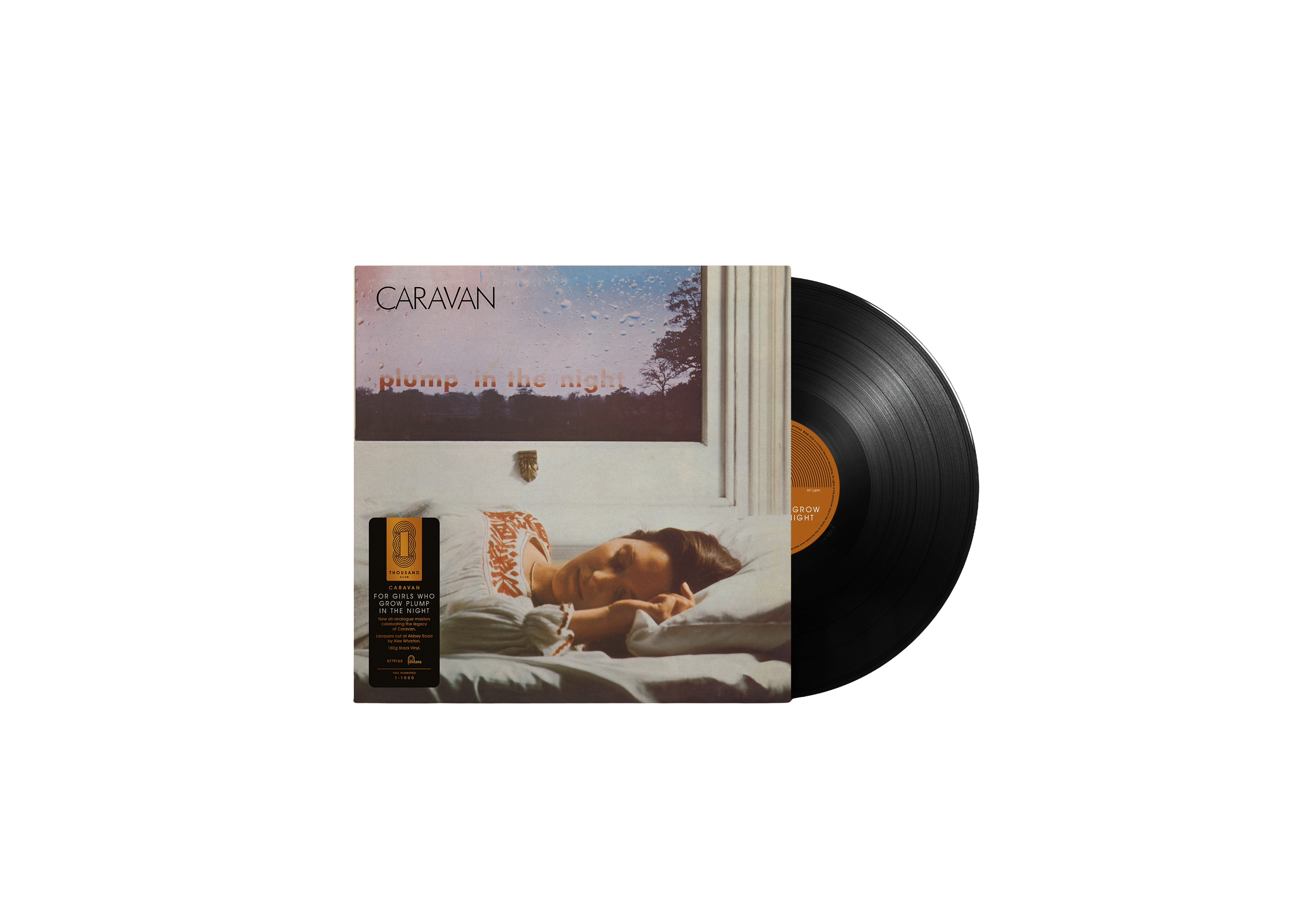 For Girls Who Grow Plump In the Night (LP Analogue)