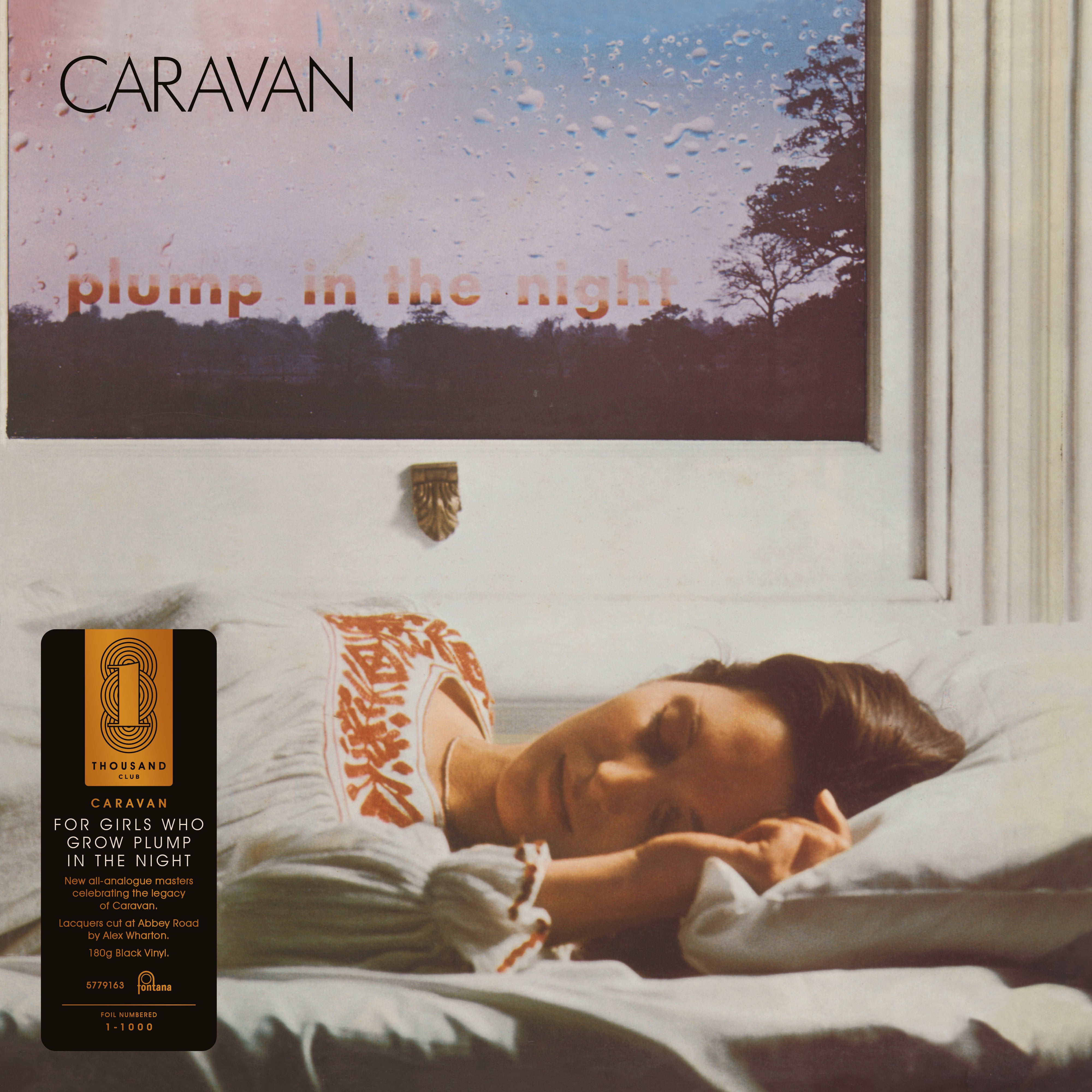 For Girls Who Grow Plump In the Night (LP Analogue)