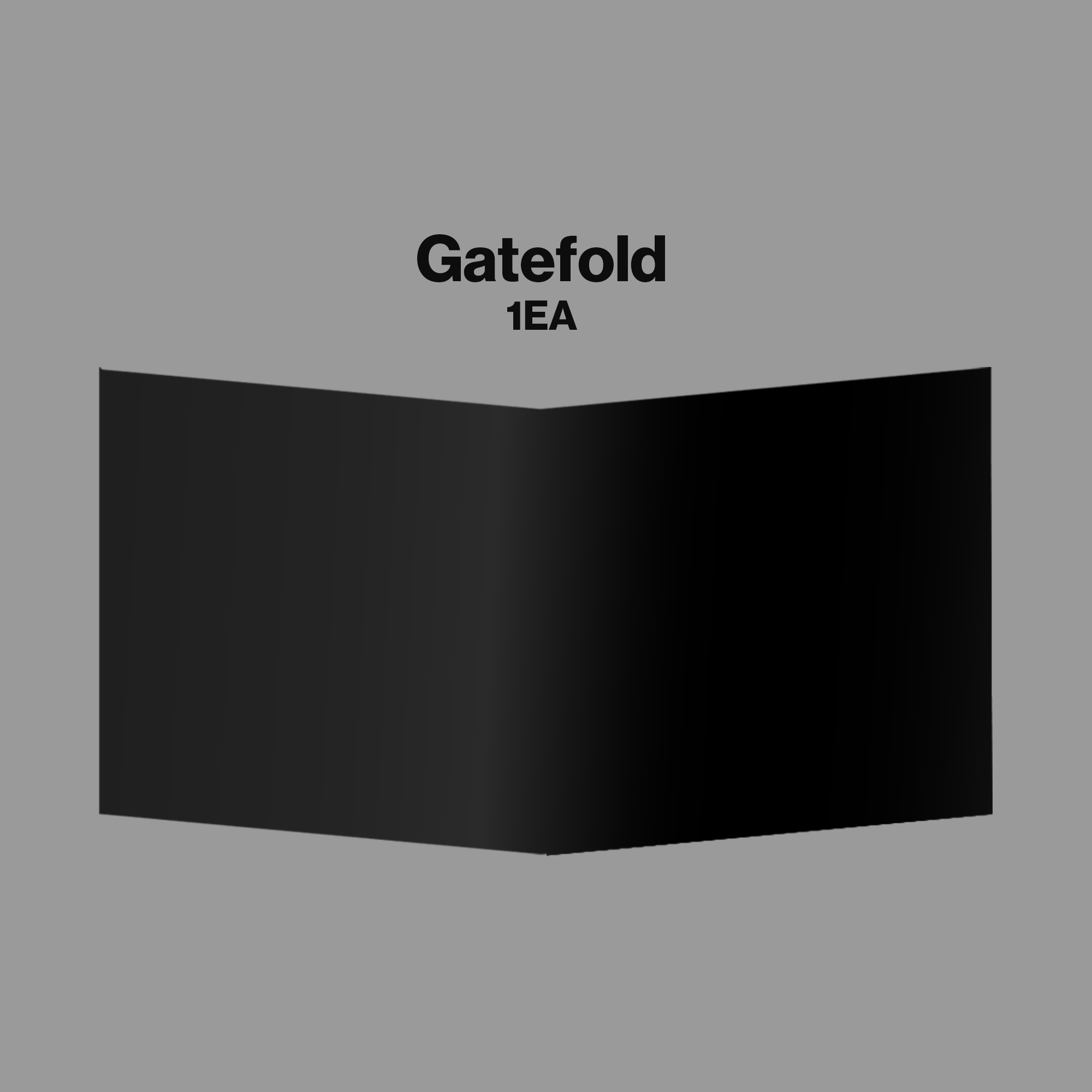 WILD Vinyl - Standard Edition + Signed Artcard