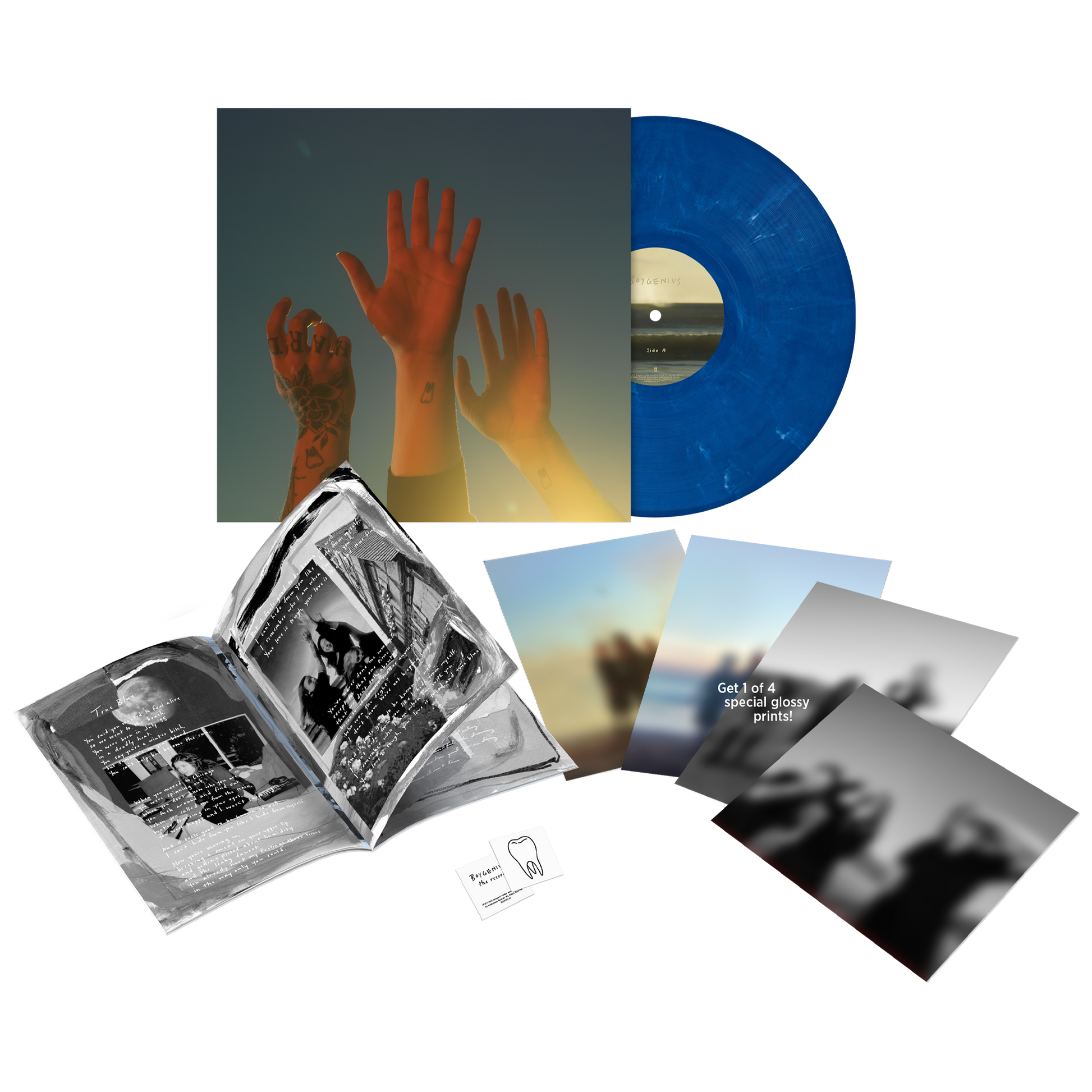 the record vinyl lp [ltd-edition blue jay vinyl]