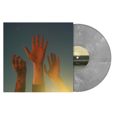 the record vinyl lp [ltd-edition silver vinyl]